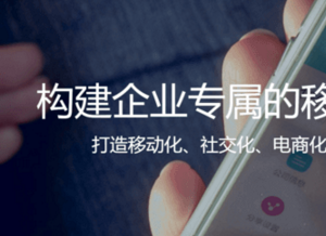 為何訂單管理SaaS能衍變成B2B電商？易訂貨CEO馮頡是這么說的